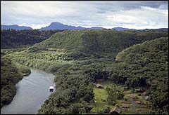 Rainforest rainforest, rain forest, rainforests, rain forest, rain forest, rainforests, rain forest, rainforest, rain forests