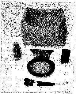 Full size image: 75 kB, FIGURE III