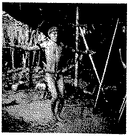 Full size image: 67 kB, FIGURE VI