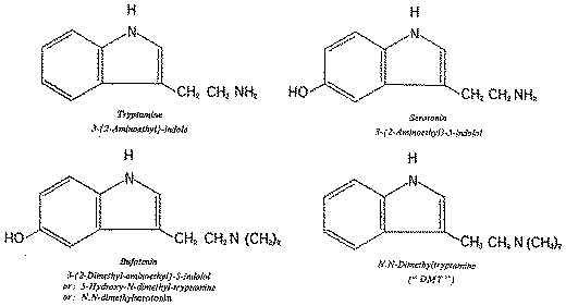 Full size image: 28 kB, FIGURE VII
